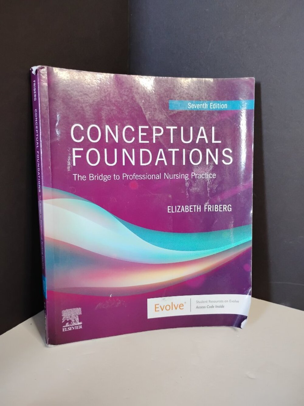 Conceptual Foundations: The Bridge to Professional Nursing Practice Paperback